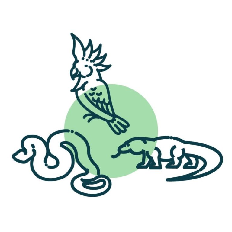 Exotic Pet Care
