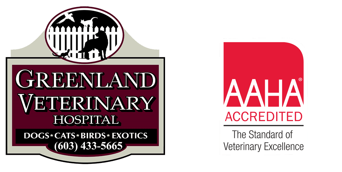 Greenland Veterinary Hospital
